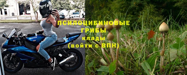альфа пвп Горняк
