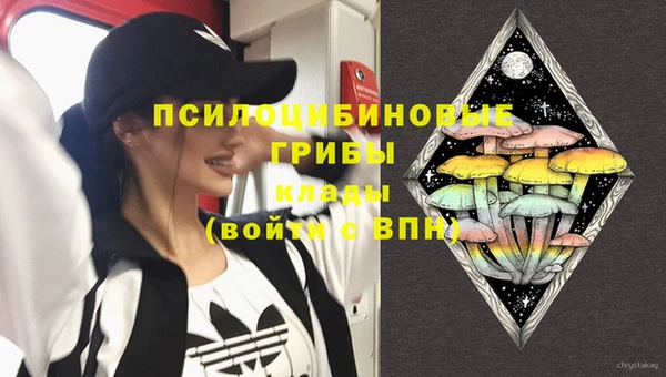 альфа пвп Горняк
