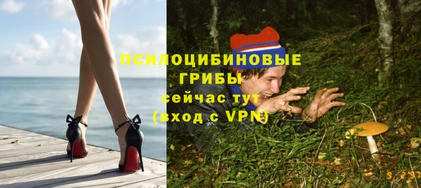 альфа пвп Горняк