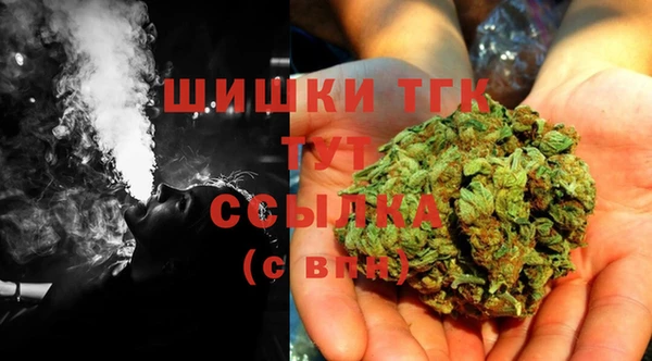 бошки Сясьстрой