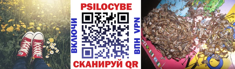 Псилоцибиновые грибы ЛСД  KRAKEN tor  Болхов  где можно купить наркотик 
